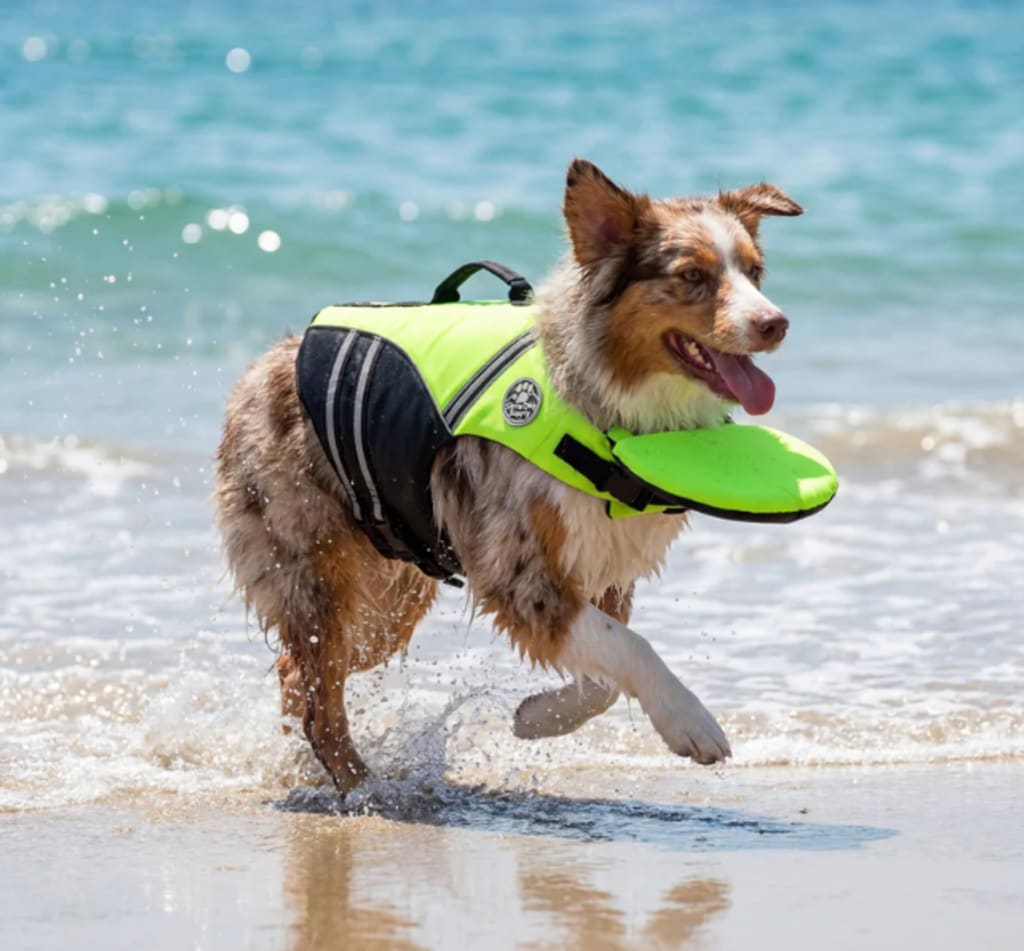 Zipply PupFloat - Life Jacket with Headrest
